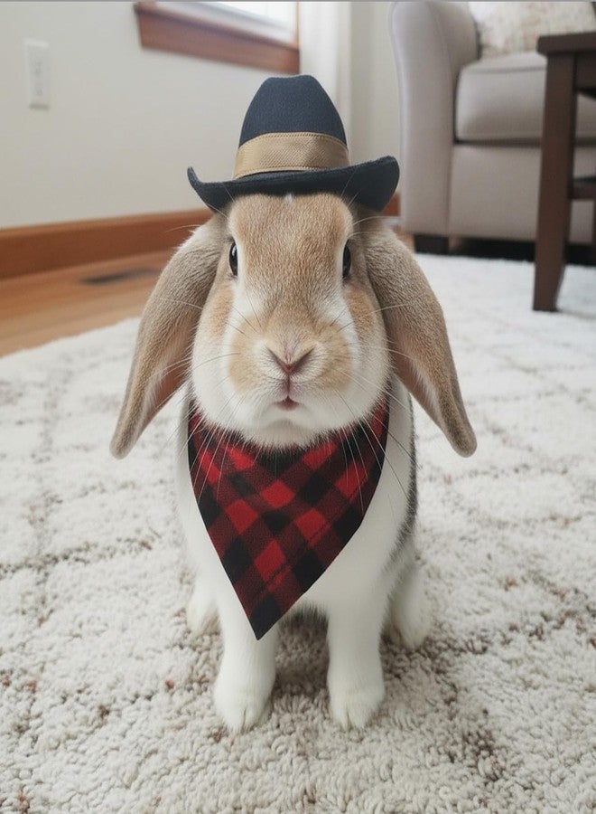 hokable Cowboy Hat and Bandana Scarf Set for Small Pets- Rabbit, Guinea Pig, Cat, DogCostume Accessories -Funny Halloween Pet Clothes for Party, Cosplay, PhotoProps (Black Hat & Red Checkered Scarf) - Image 4